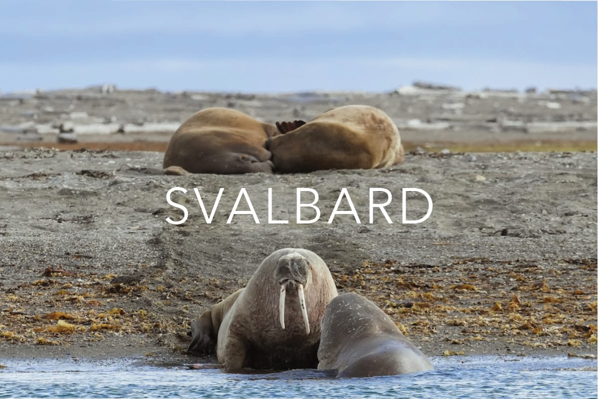 Svalbard