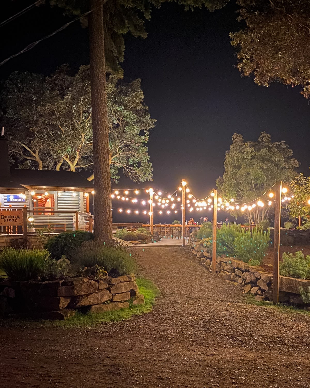 Bodega Ridge lit up by fairy lights at night