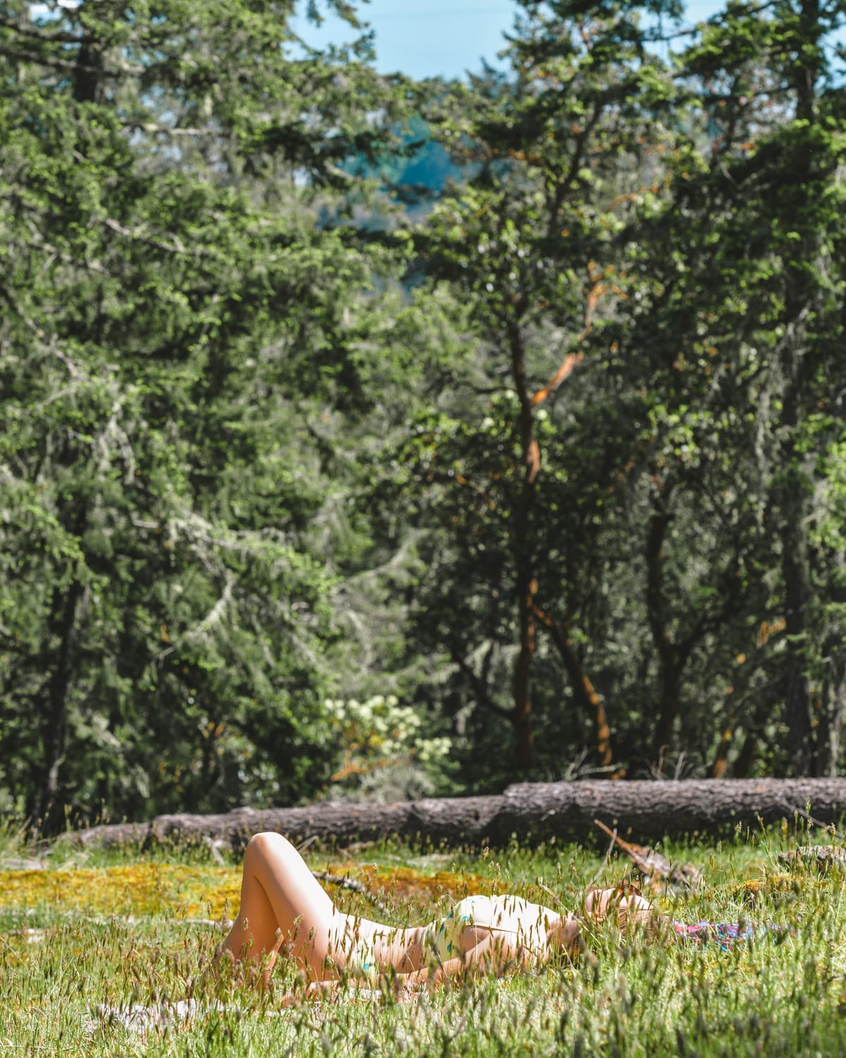 Cec sunbathing on a grassy field, lying under warm sunlight, surrounded by lush green trees and nature at her home on Salt Spring Island.