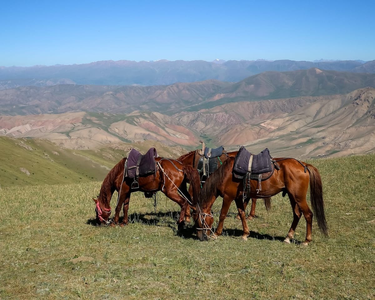  Saddled horses grazing on a high mountain plateau in Kyrgyzstan, offering views of rolling valleys and hills.