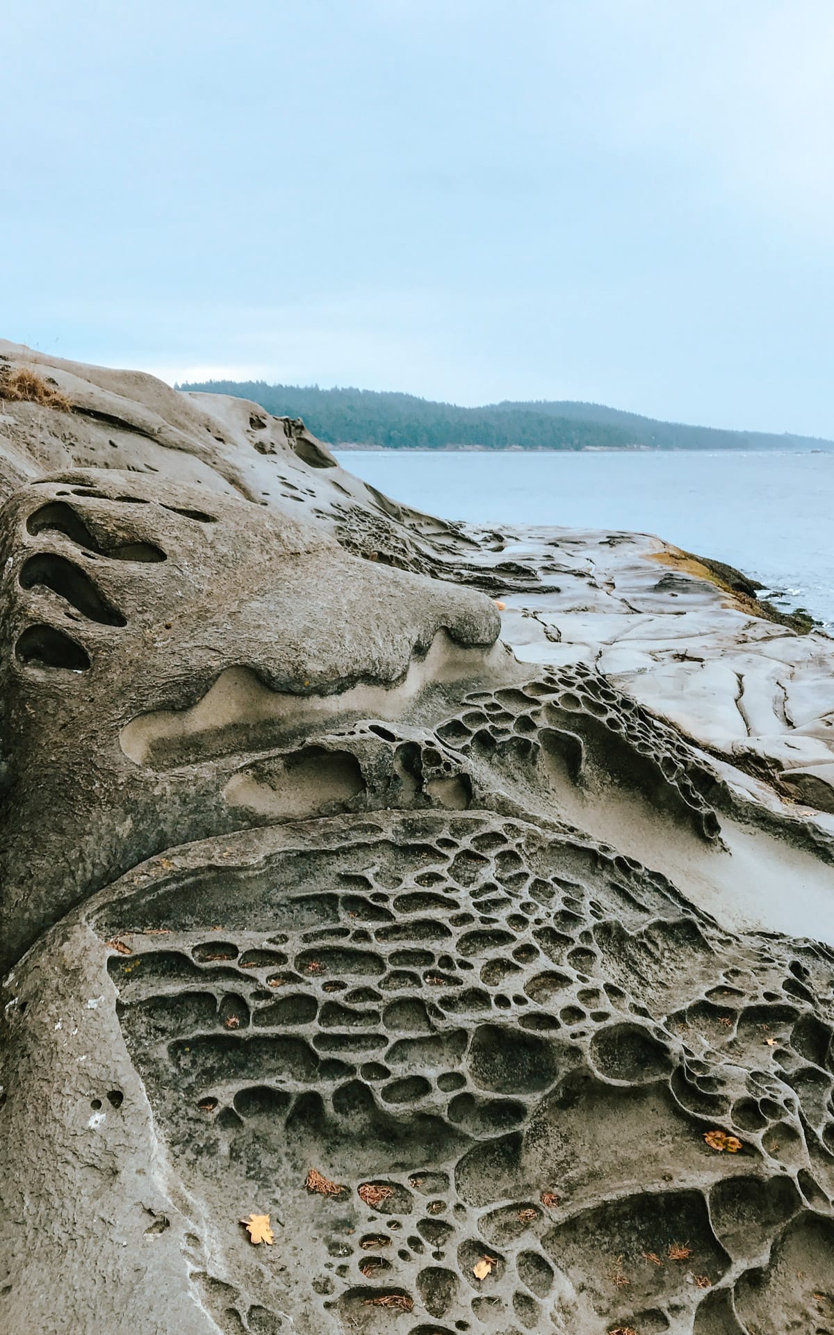 Unique, weathered sandstone formations on the shore of Dionisio Point.