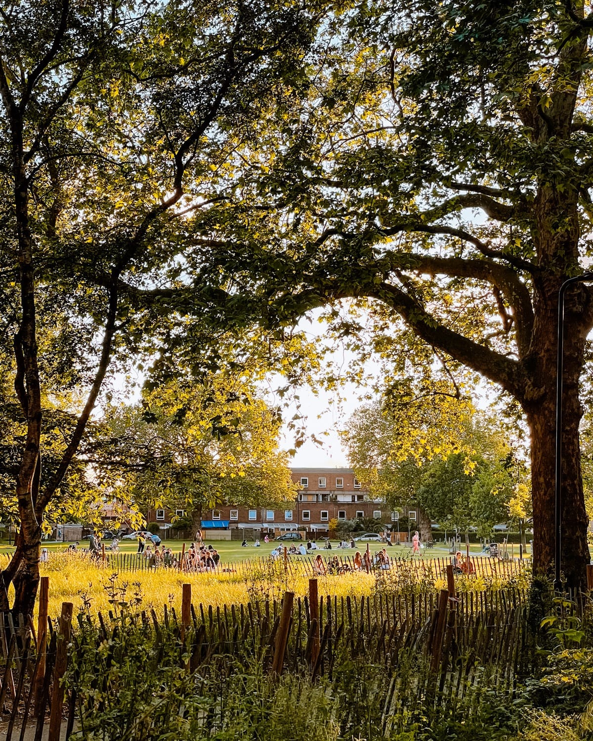 A golden-hour view of London Fields, framed by leafy trees, with locals relaxing on the grass.