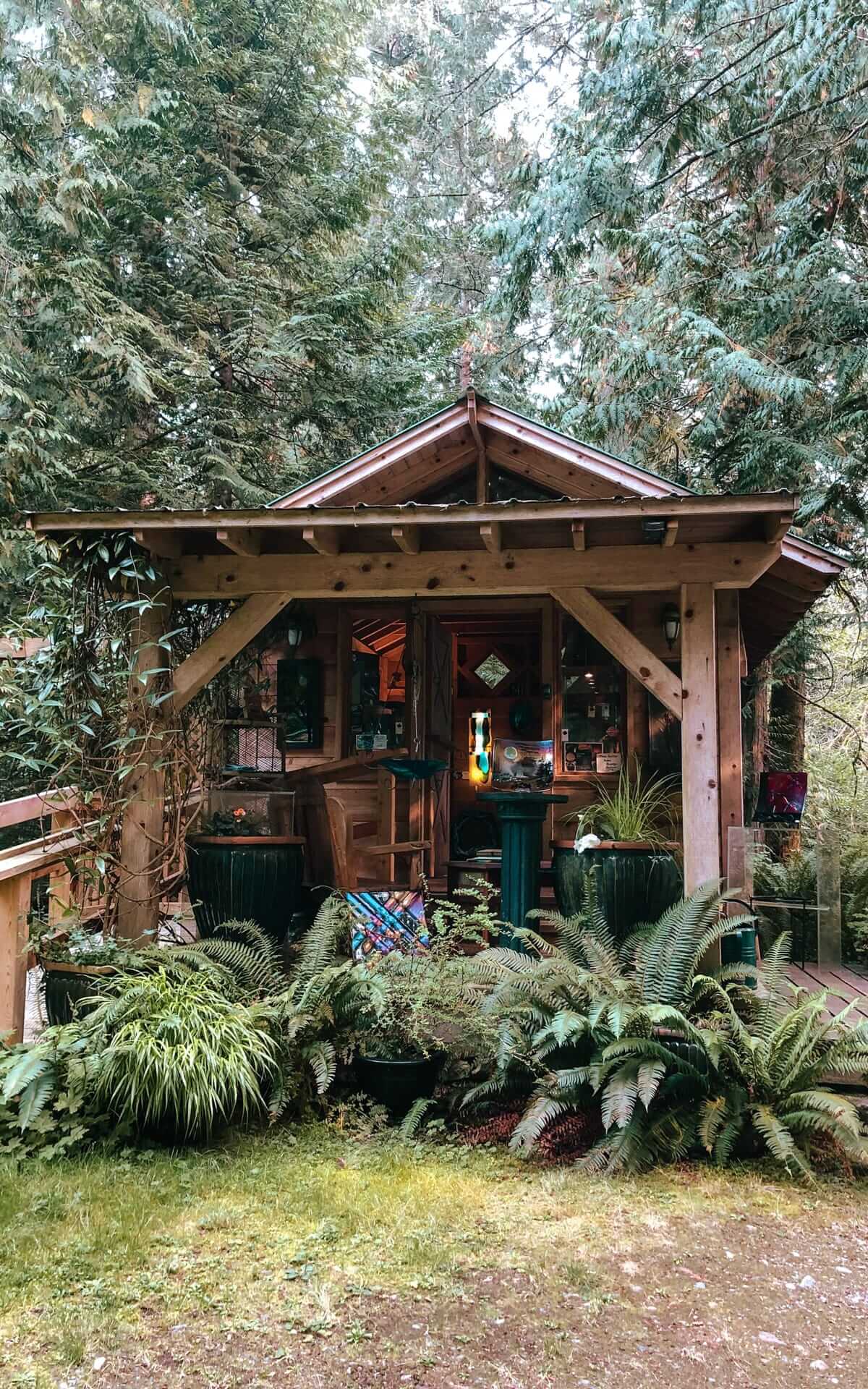 Small wooden studio by ferns and trees, exuding a rustic, artistic ambiance.