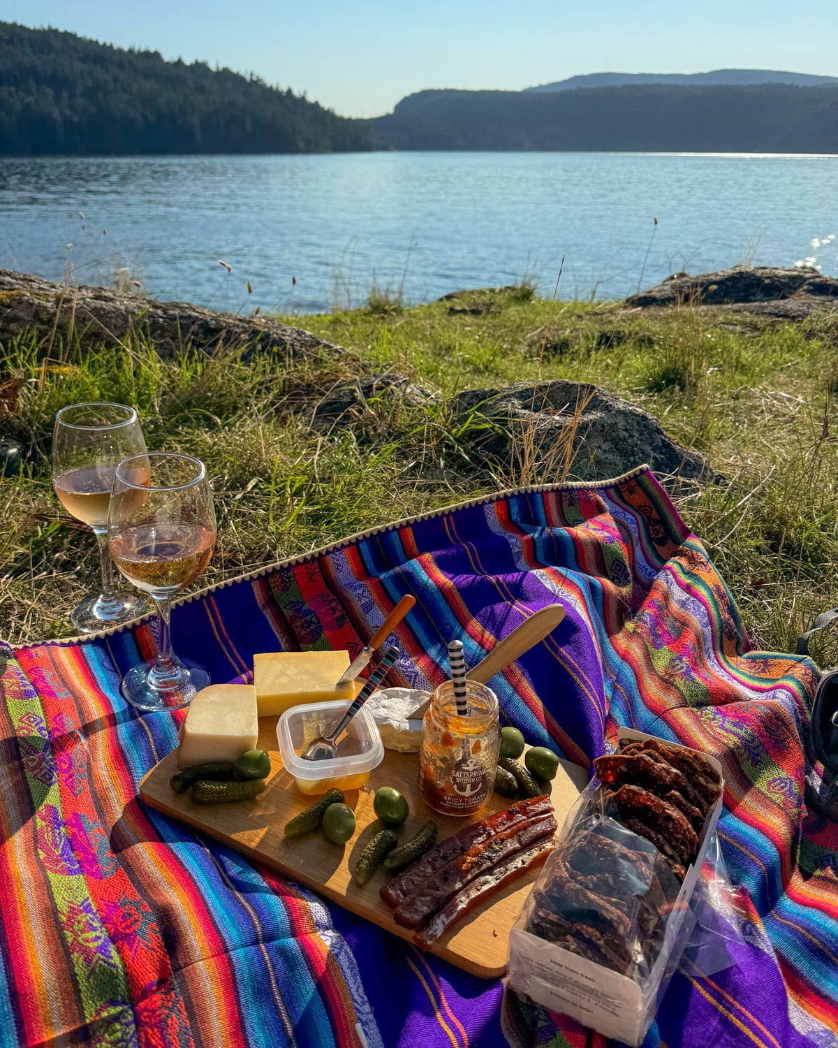 Outdoor picnic spread on a colourful blanket with cheese, spreads, honey, and charcuterie by a serene oceanside view on Salt Spring Island..