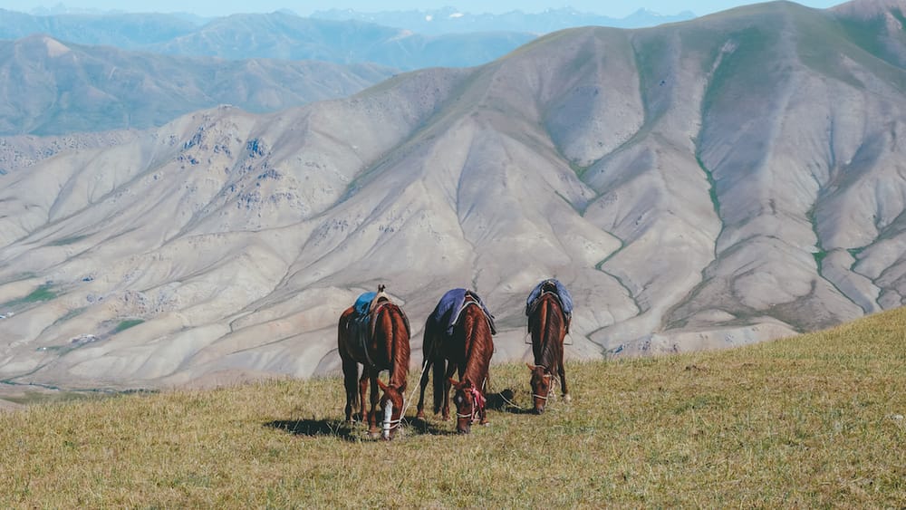 11 Essential Tips for your Trek to Song Kul Lake, Kyrgyzstan