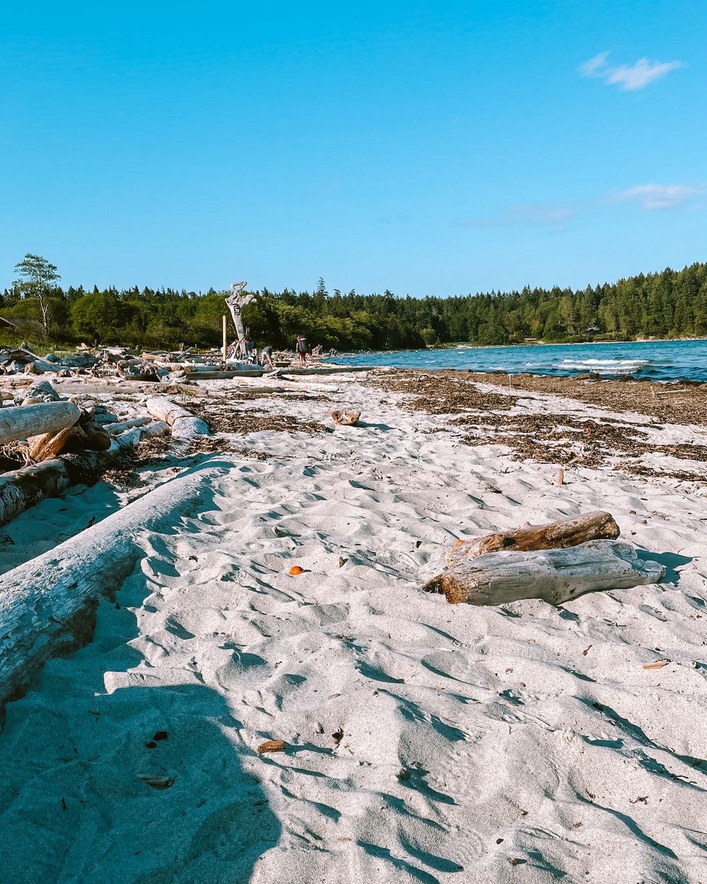 23 Best Things To Do On Hornby Island BC - Hidden Gems Included