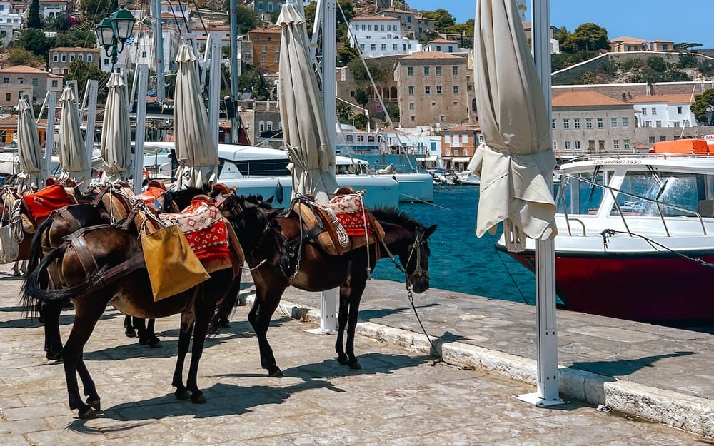 How to Get to Hydra from Athens