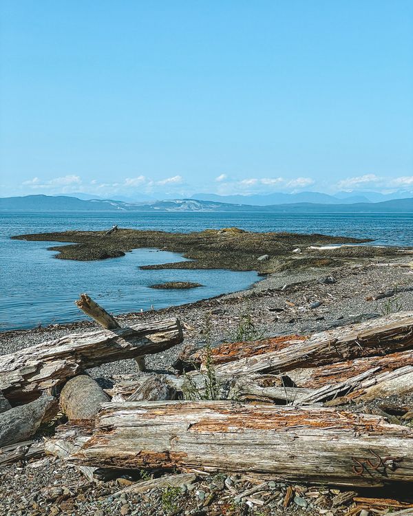 23 Best Things to do on Hornby Island BC - hidden gems included