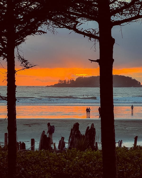 27 Unique Things To Do In Tofino BC